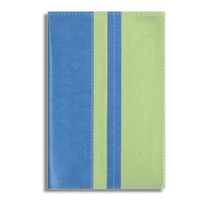Thinline Bible Compact NIV Surf/Menthe