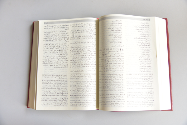 Arabic GNA Study Bible with DC / قراءة رعائية-803