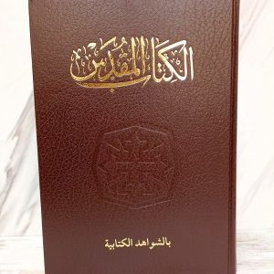 فاندايك الجديد
