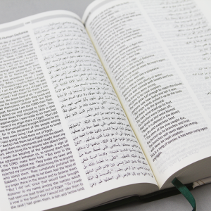 Arabic-English Diglot Bible NON DC edition-1146