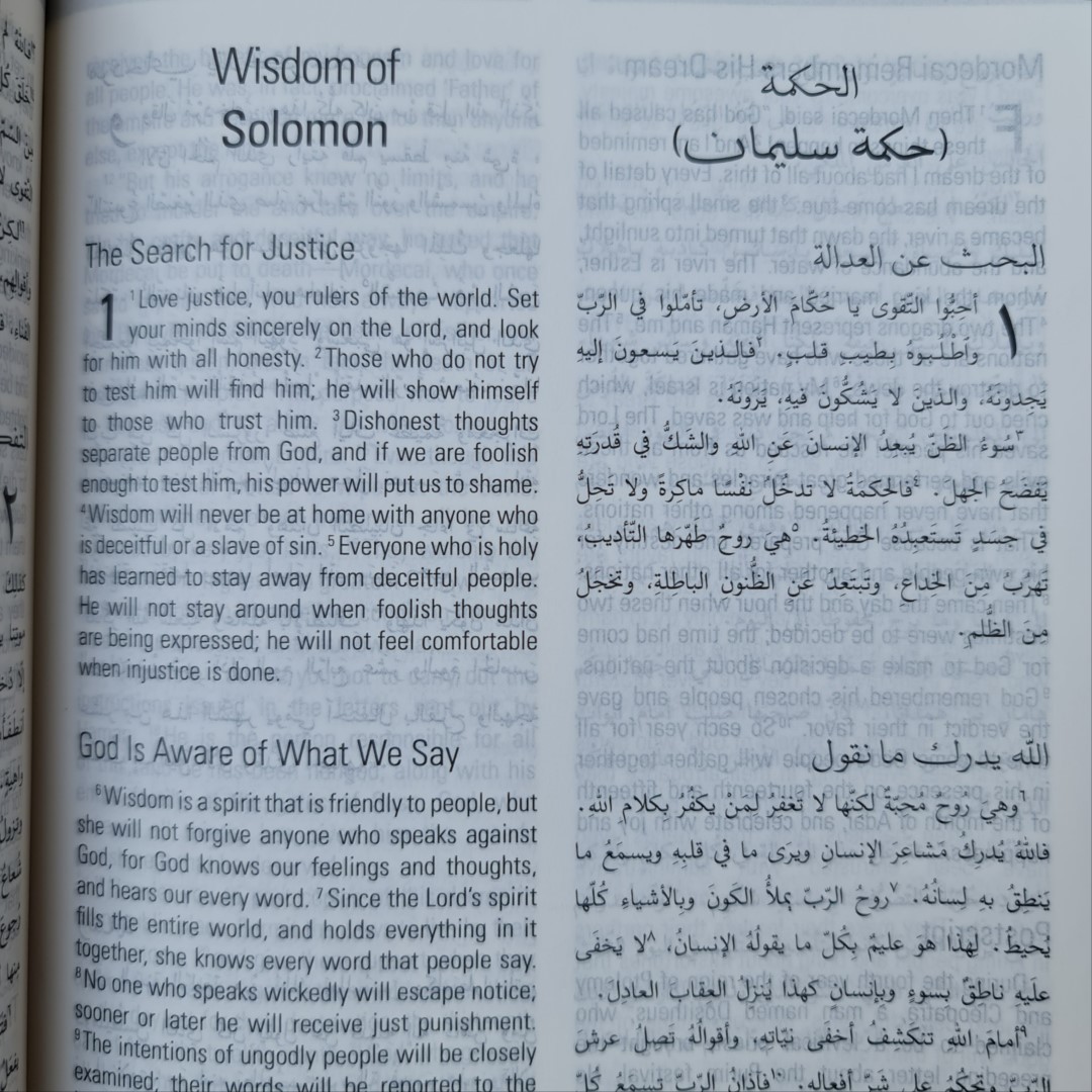 Arabic English Diglot Bible DC edition - Image 5