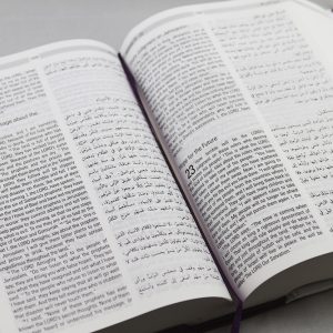 Arabic-English Diglot Bible DC edition-1143