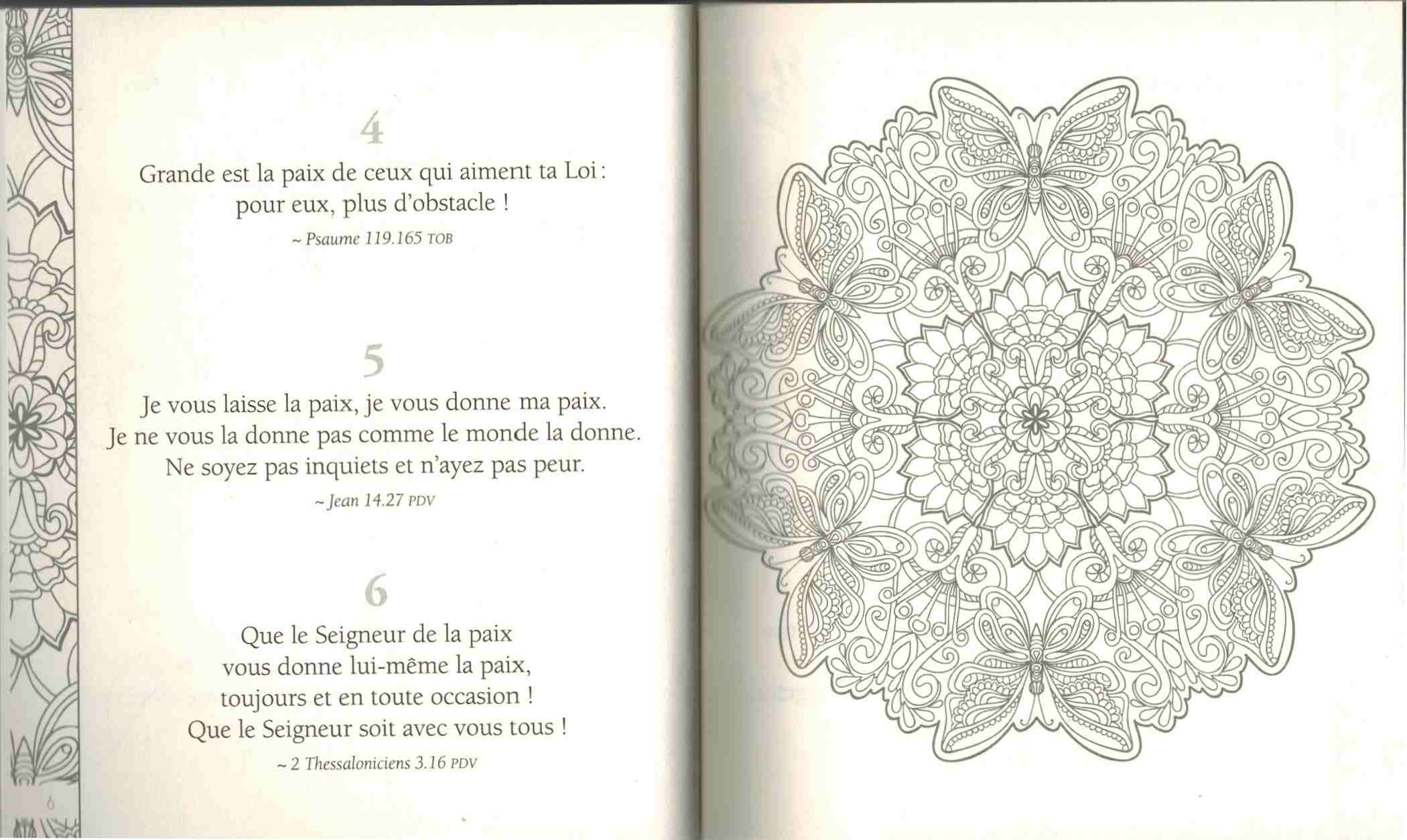 365 promesses de la Bible
