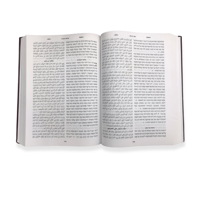Arabic/Hebrew Bible - Image 2