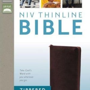 Bible mince- Nouvelle Version Internationale à fermeture éclair - Bourgogne
