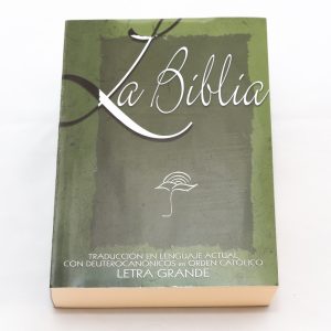 Spanish Bible