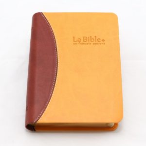La Bible en FC 1013 Avec DC