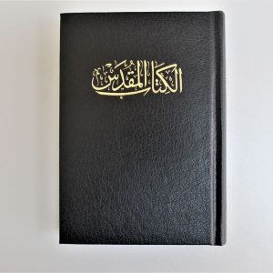 Arabic Bible NVD13