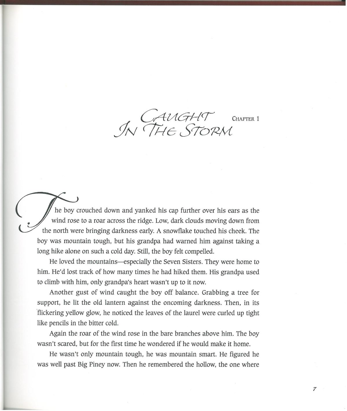 One Wintry Night-Lion - Image 3