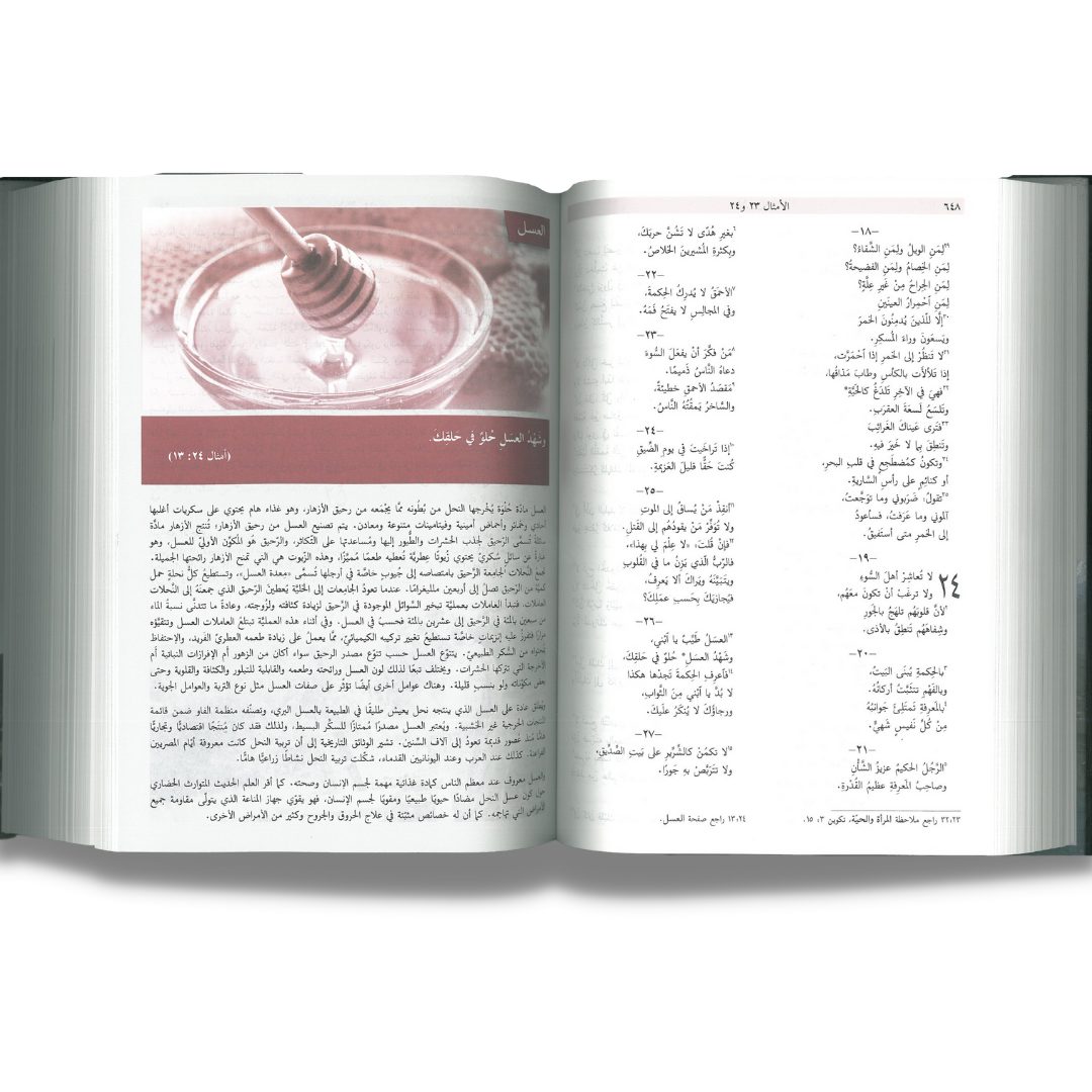 الكتاب المقدس ولبنان - Image 4