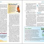 NIV Adventure Bible - Gray/Blue - Image 3