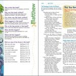NIV Adventure Bible - Gray/Blue - Image 2
