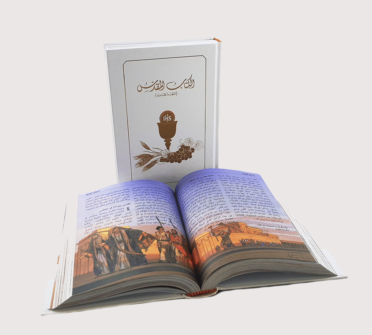Illustrated First Communion Arabic N.T - Image 2