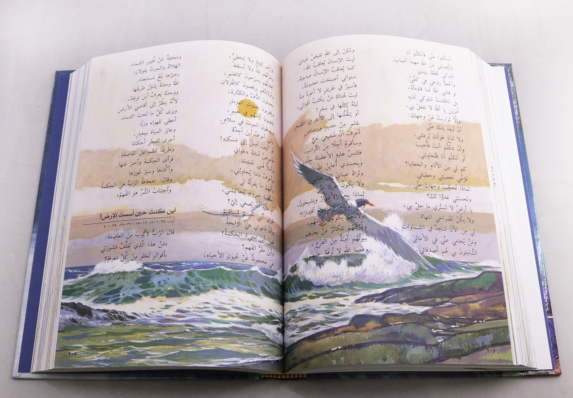 قصص مختارة من الكتاب المقدس / Arabic Bible Stories (Scandinavia) - Image 2
