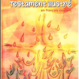 Le Nouveau Testament Illustré