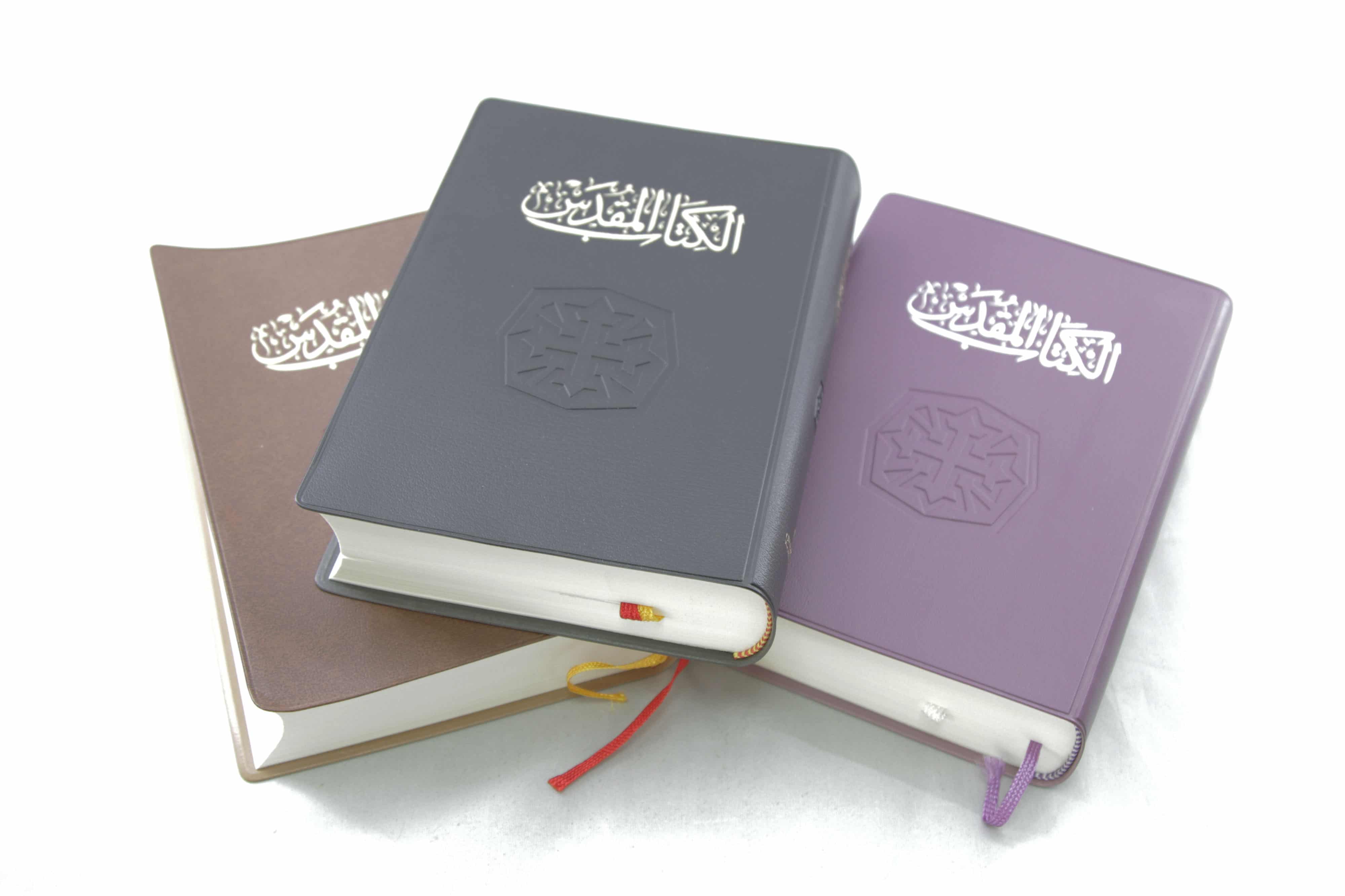 Arabic Bible NVD42 - Image 3