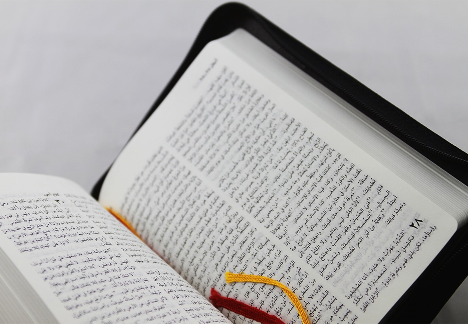Arabic Bible NVD17Z leather with zipper - Image 2