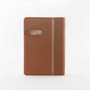 Arabic NVD Bible B45A