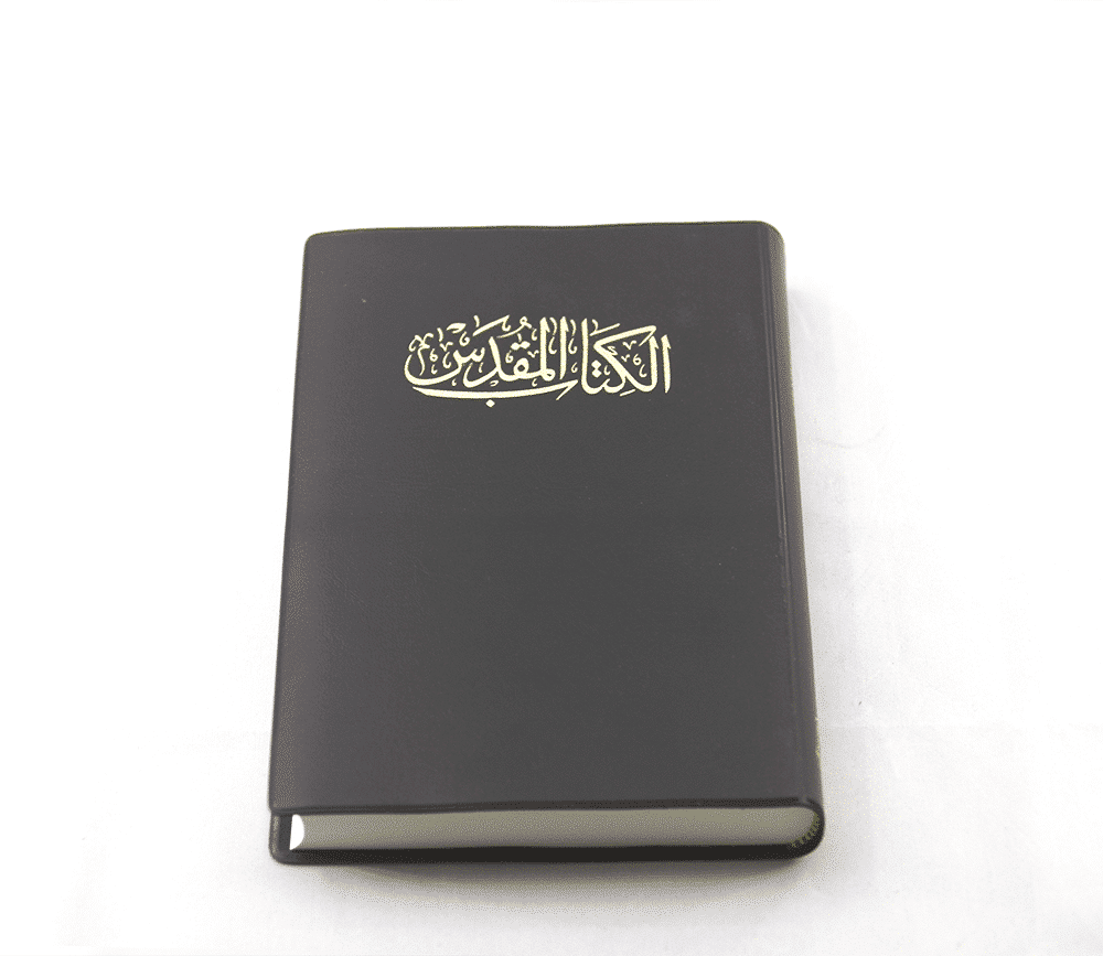 Arabic Bible NVD12
