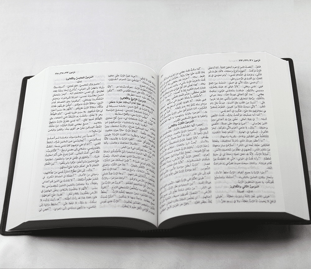 Arabic Bible NVD12 - Image 2
