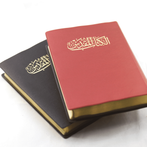 Arabic Bible NVD12PL