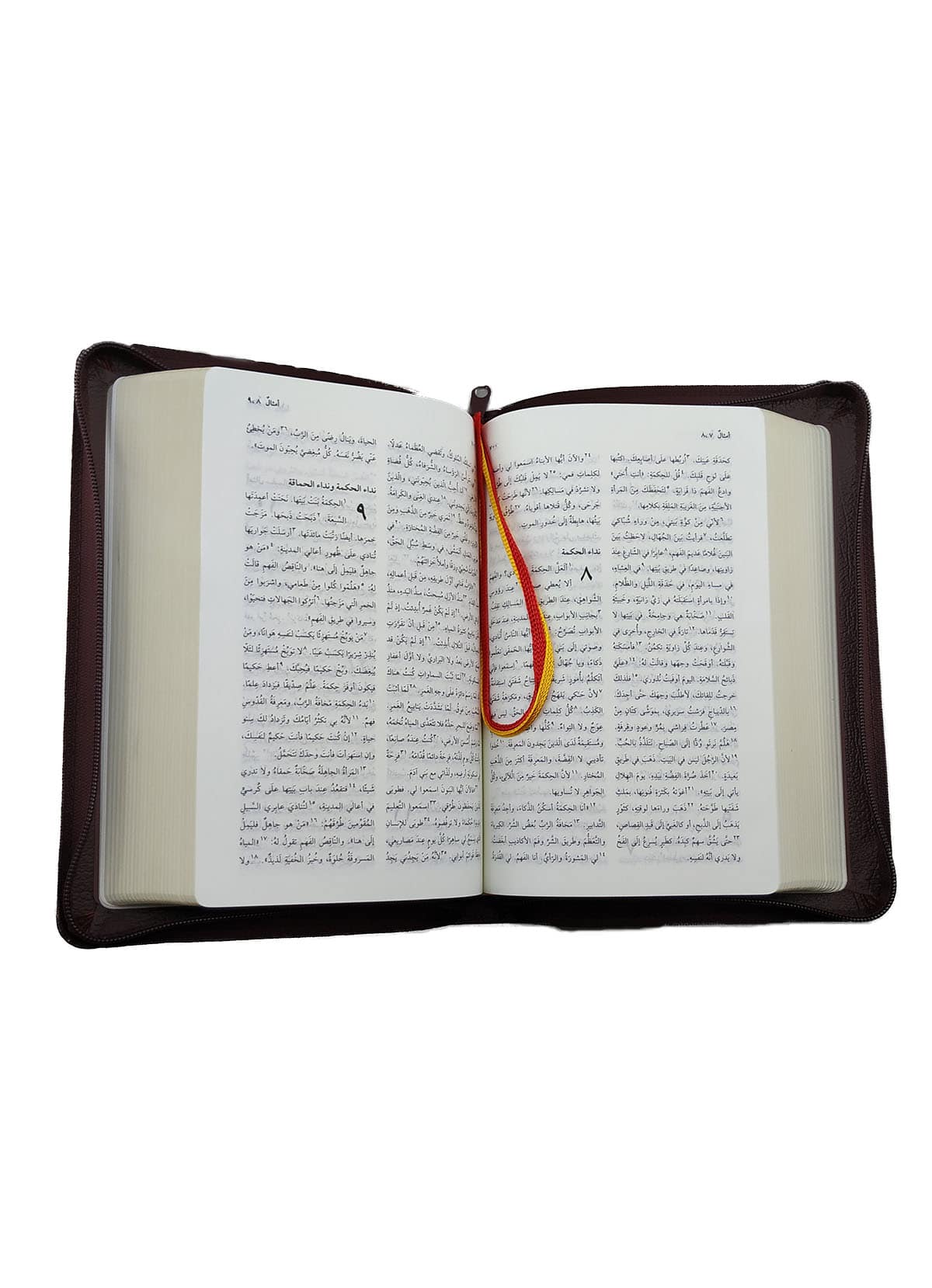 Arabic Bible nvd47z - Image 2