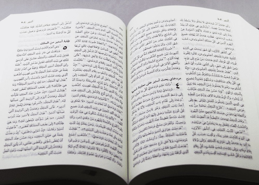 Arabic Bible NVD62 - Image 2