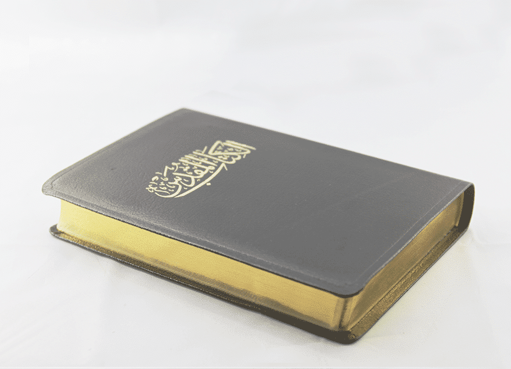 Arabic NVD Bible NVD67 - Image 2