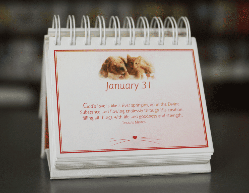 Whiskers & Paws calendar - Image 2