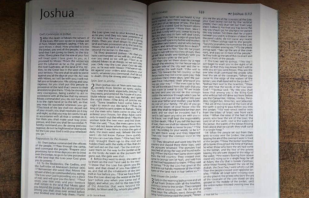 NRSV GO ANYWHERE THINLINE CATHOLIC BIBLE - Image 2