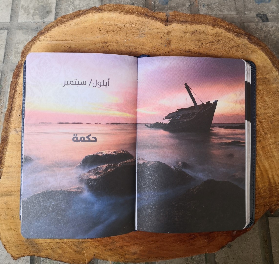 ملجأ من العاصفة