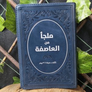 ملجأ من العاصفة