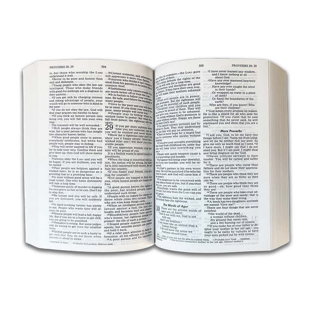 GNT BIBLE D&A CMPC BLU - Image 3
