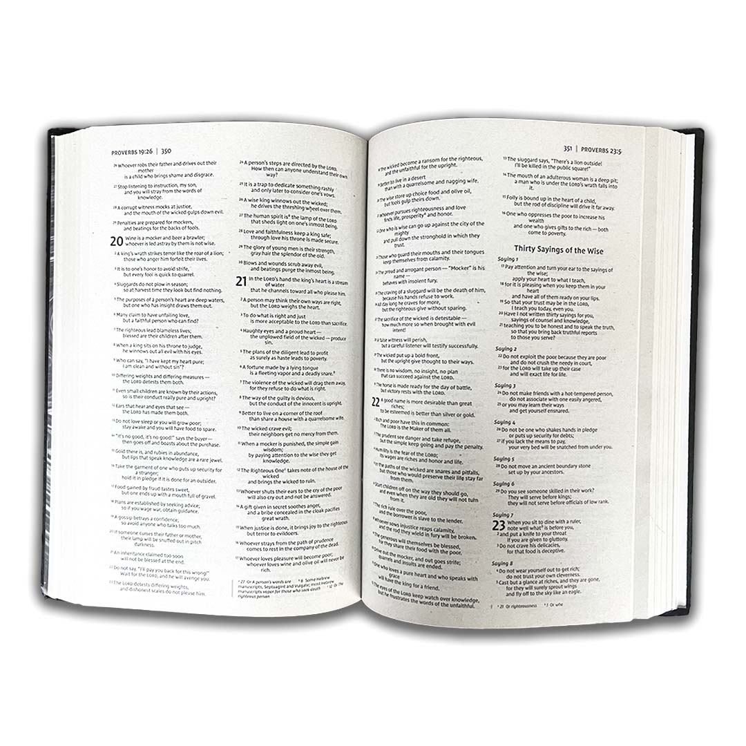 NIV gift and award Bible BURGUNDY - Image 4