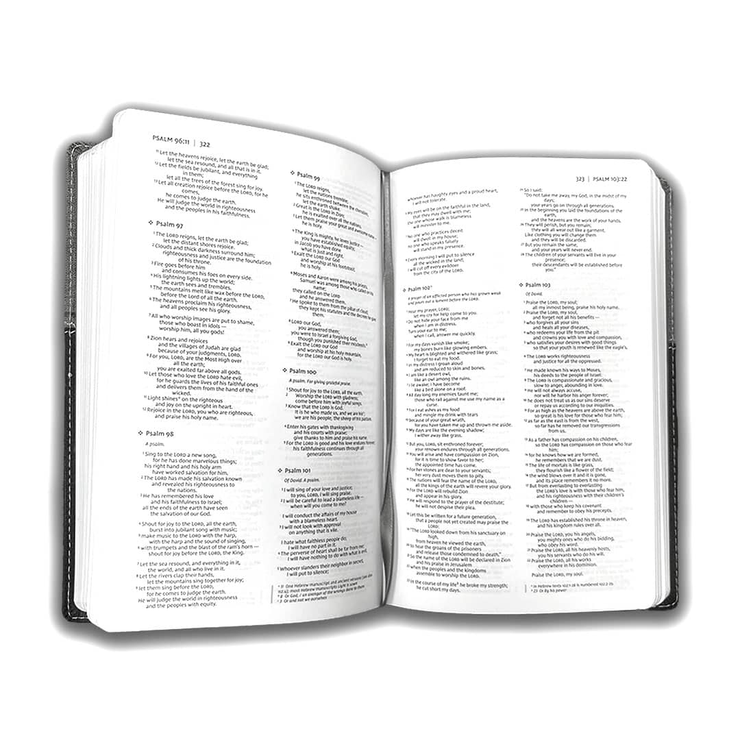 NIV PREMIUM GIFT BIBLE BLACK GREY LEATHERSOFT - Image 5