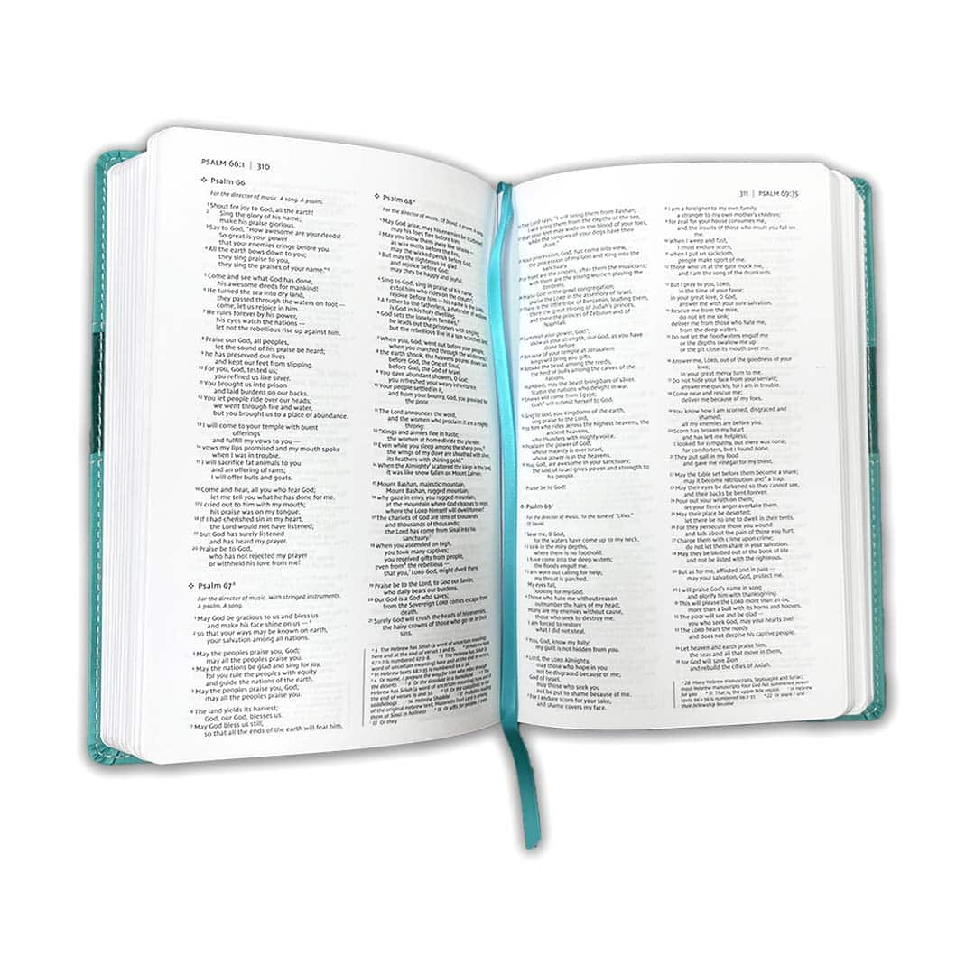 NIV Premium Gift Bible Blue - Image 5