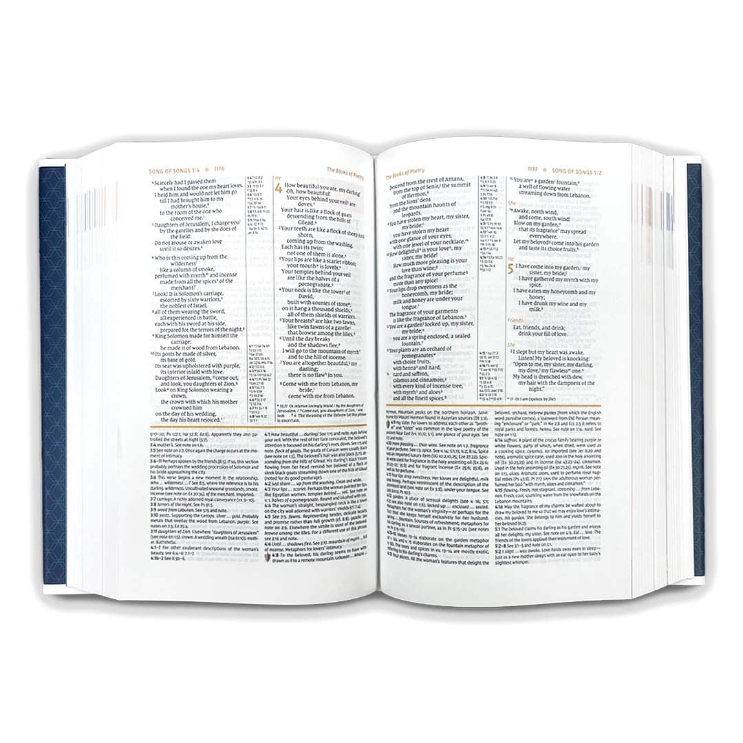 NIV Study Bible Personal Size - Image 2