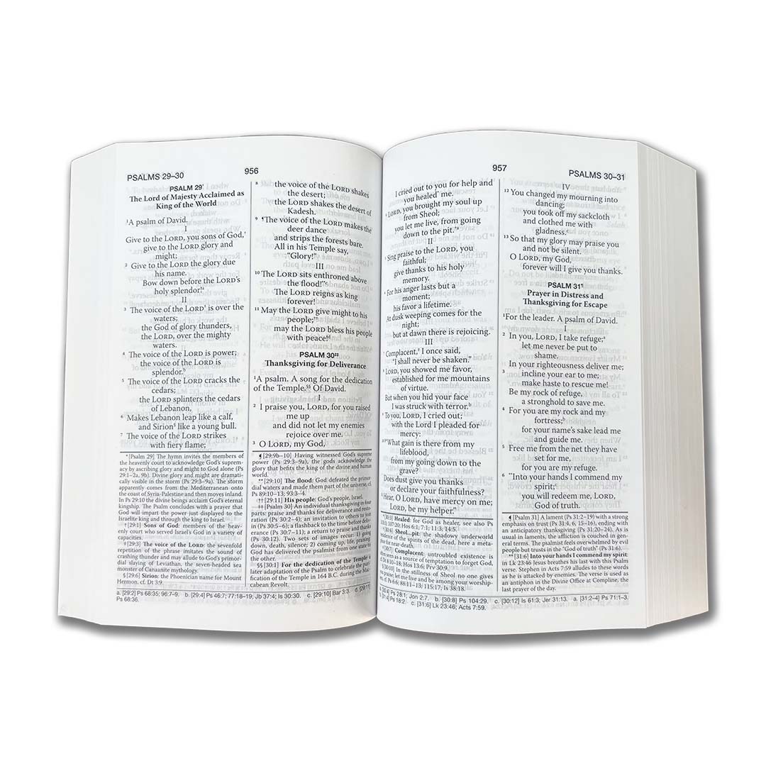NAB Revised Bible Paperback with DC - Image 3