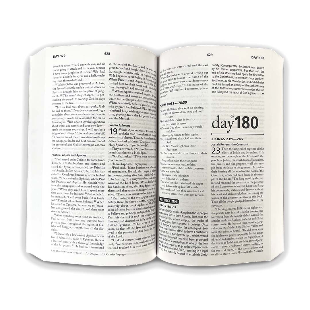 pink niv bible