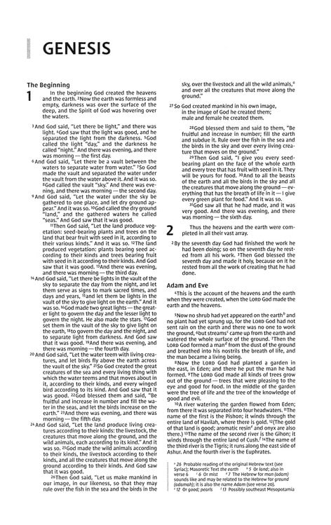 NIV Premium Gift Bible Blue - Image 8