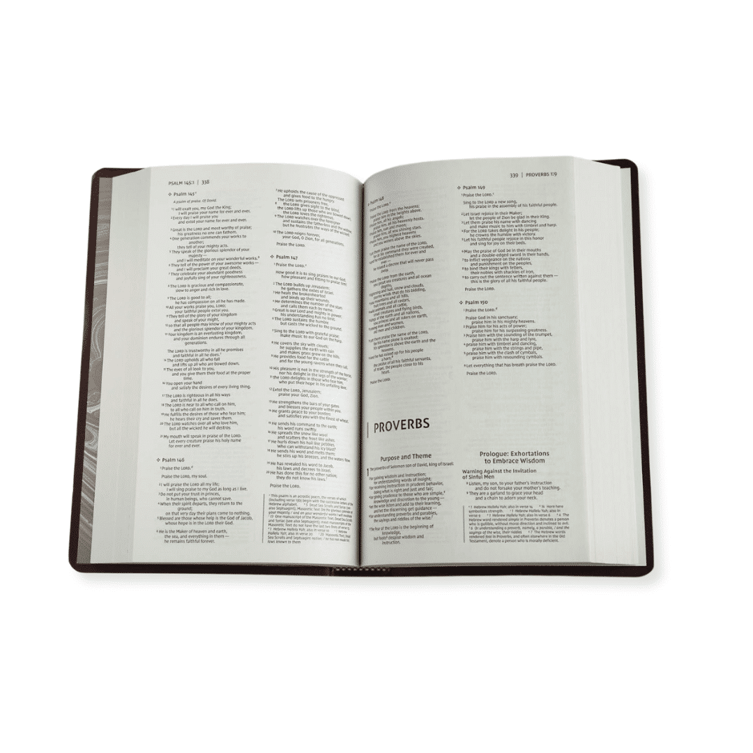 NIV gift and award Bible BURGUNDY - Image 5