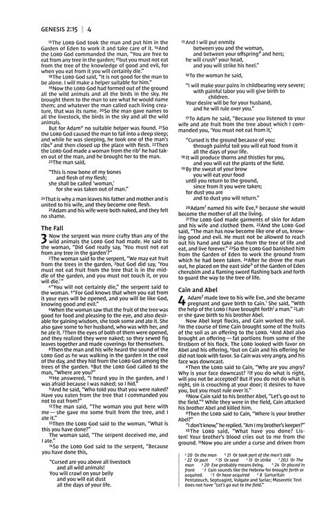 NIV PREMIUM GIFT BIBLE BLACK GREY LEATHERSOFT - Image 7