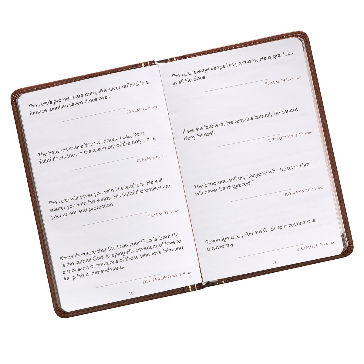 GB LL Promises for a Righteous Man - Image 6