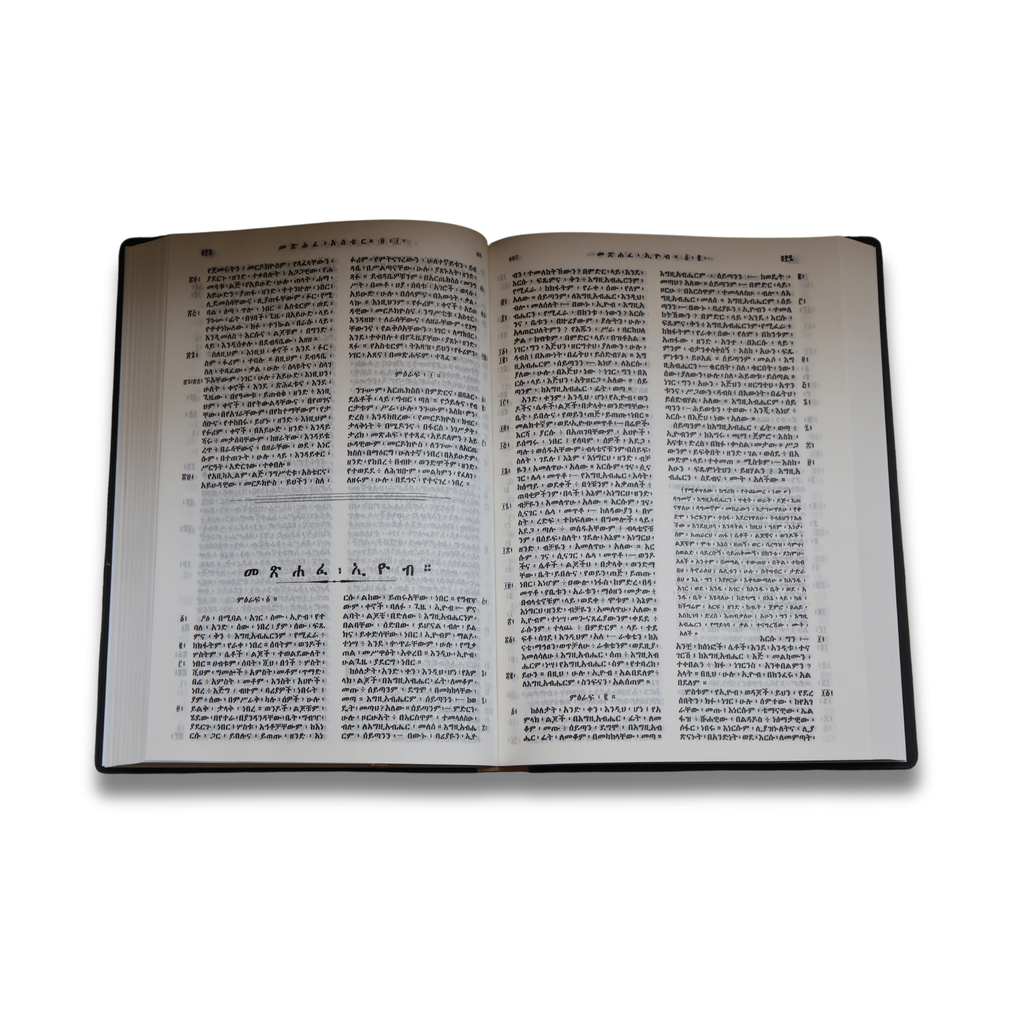 Amharic Bible RO52PL Black/Brown - Image 4