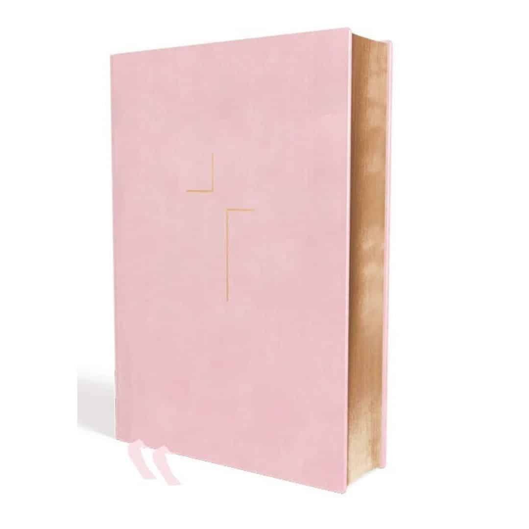 jesus bible