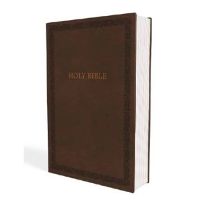 NIV Holy Bible Soft Touch Edition-Brown