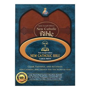 The New Catholic Bible Large Type edition - Brown