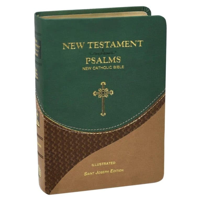 New Testament Psalms NCV 647/19GN