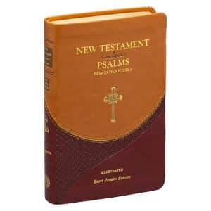 New Testament Psalms NCV 647/19BN