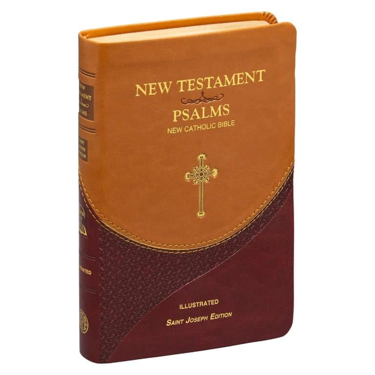 New Testament Psalms NCV 647/19BN